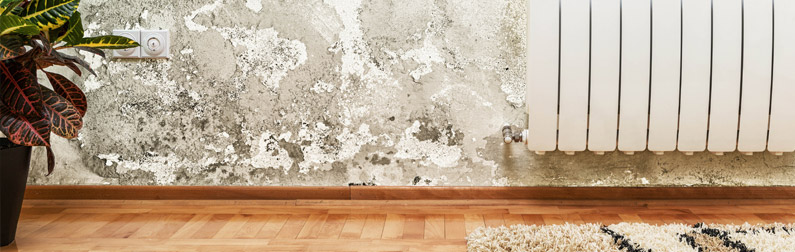 ZSC Waterproofing Roof maintenance