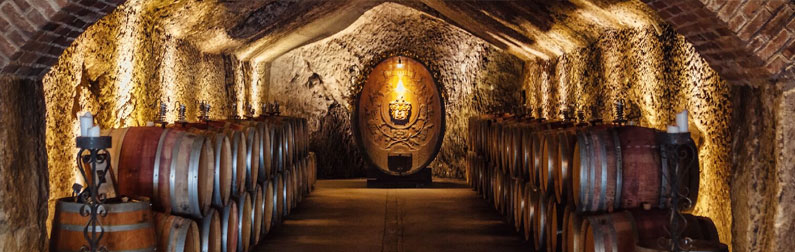 When Do You Need to Waterproof a Wine Cellar? When Do You Need to Waterproof a Wine Cellar?